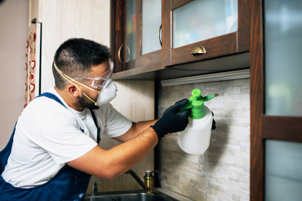 Best Pest Removal Services  in Butler, GA