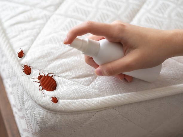 Best Mosquito Control Services  in Butler, GA