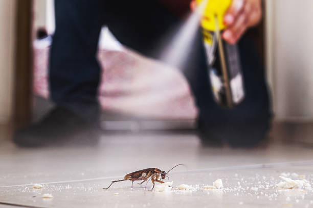 Best Ant Control Services  in Butler, GA