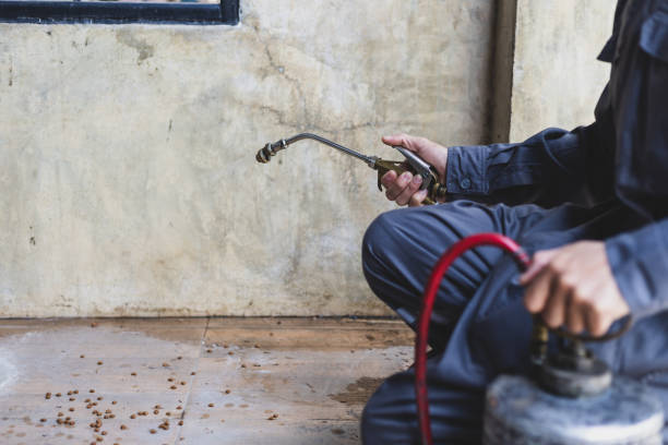 Best Rat Extermination Near Me  in Butler, GA