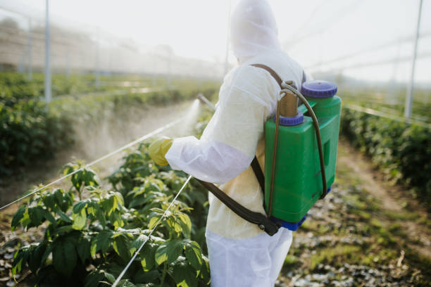 Best Pest Inspection Near Me  in Butler, GA